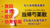 五苓散がむくみに効くのはどんな人 二日酔や頭痛 めまいに使うときは要注意 脱むくブログ